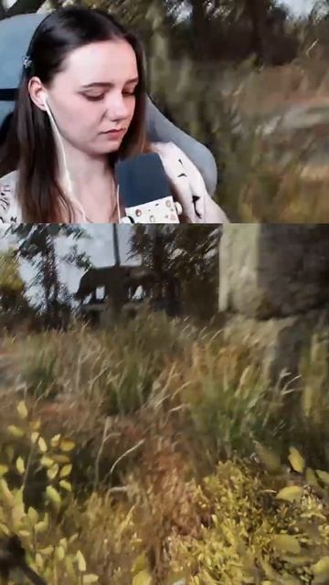 Не успели соориентироваться!