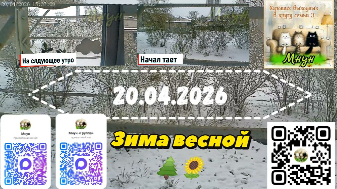 Зима весной 20.04.2026🌲🌻