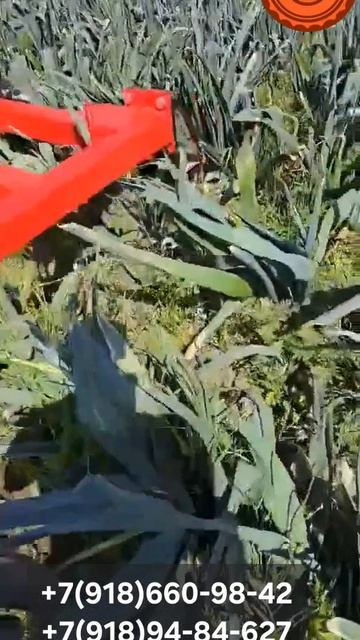 Копатель Корнеплодов 1,2 с подрезными колесами +7(918)660-98-42     +7(918)94-84-627