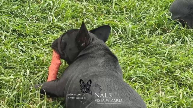 Каждый занят своим делом