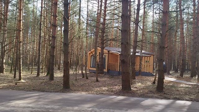 домики в лесу