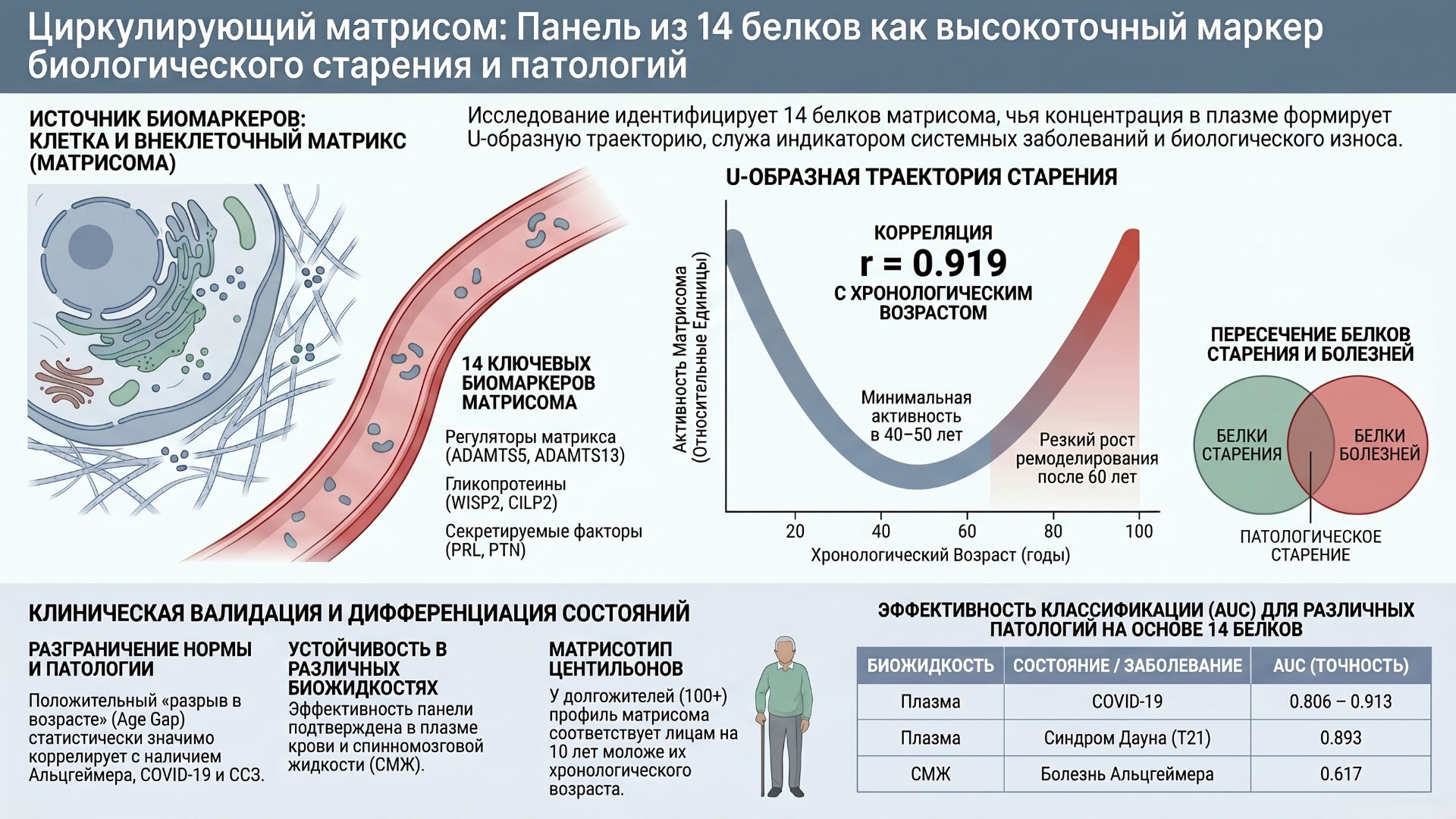 Четырнадцать белков матрисома определяют биологический возраст