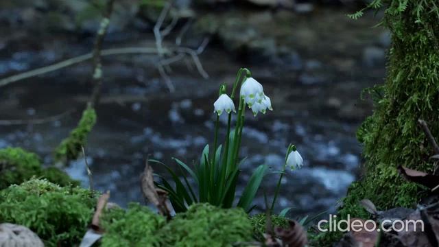 С весенним утром!