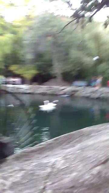 95)D ВОРОНЦОВЫЙ   ДВОРЕЦ НАРУЖУ ТЕРРИТОРИЯ