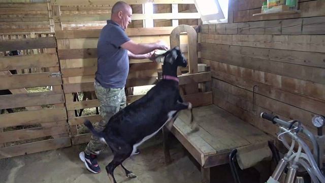 Семья Стрикачевых воплотила мечту о своем деле благодаря социальному контракту