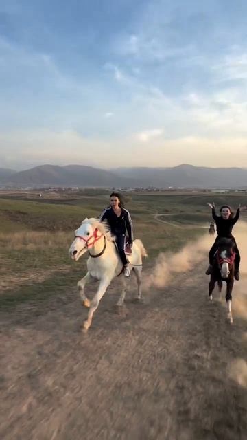 Вот как нужно снят стресс!!!