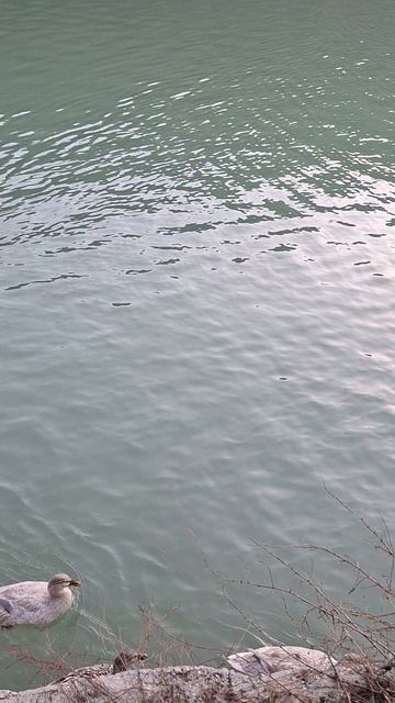 Озеро любви в Крыму | Бахчисарайский район Крыма