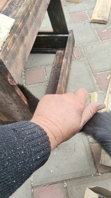 Шурик помогает делать новое кафе для птичек.