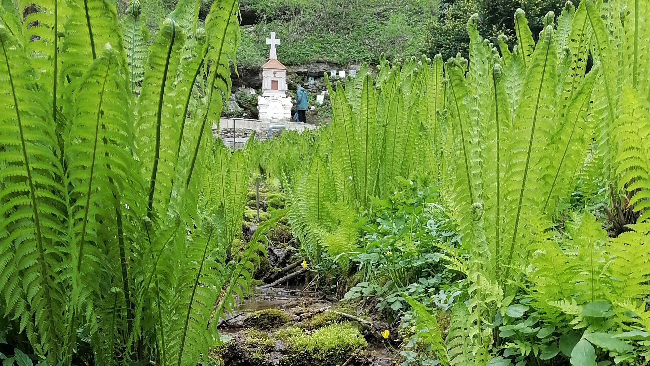 Маленькое путешествие на Родину / Ставропольский край
