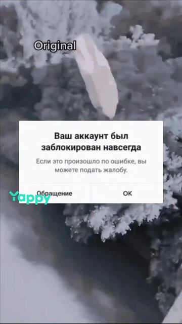 испугались аххахахахах