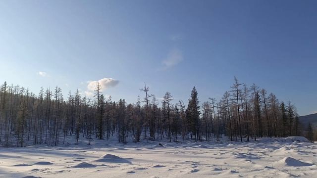 АВТОРСКОЕ  Такого мороза ещё не было