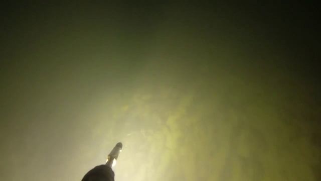 Ночная охота в черном море с острогой.