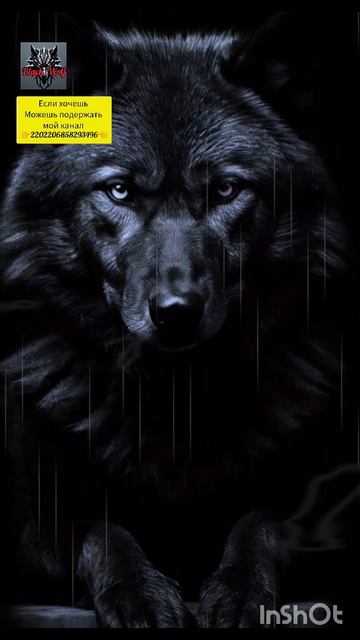 мир не такой солнечный как кажется