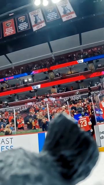 Oh to be a plastic rat after a cats win