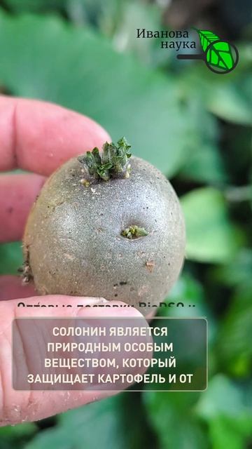 2026-04-18-182200582