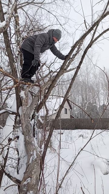 Одноклассник спрыгнул с дерева