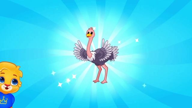 Мульт-развивашка, детский познавательный мультфильм, видео-головоломка.