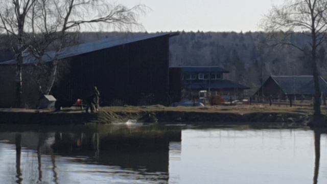 утренние поимки форели