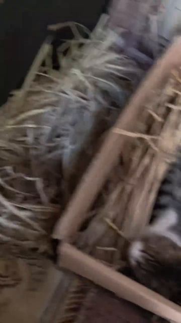 Когда наврал в резюме