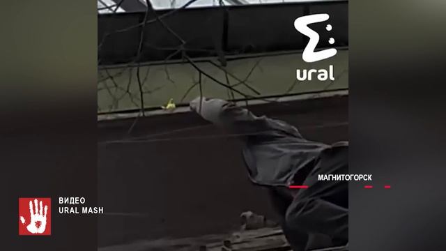 У жителя Магнитогорска пропал попугай. Он нашел его во дворе