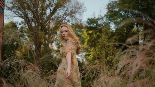 Проморолик к завершению  проекта «Вересаево»