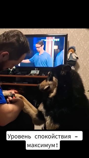 Уровень спокойствия - максимум! The Level Of Calm Is Maximum!