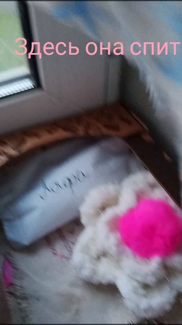 уточка Лафи