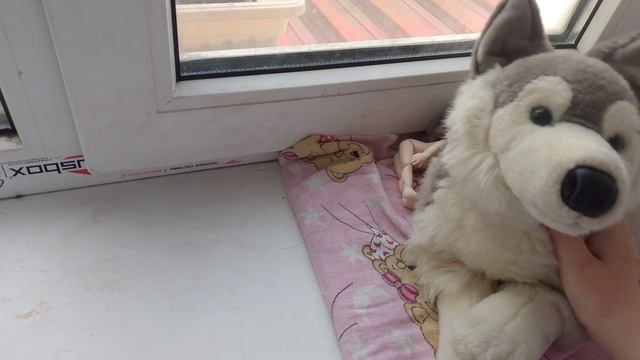 Теперь снимаю пдб только влоги и кормёжки