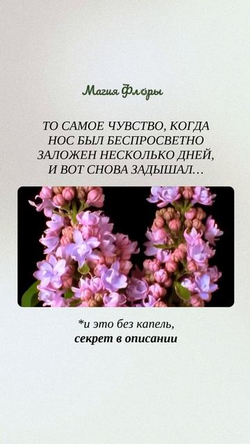 Капли больше не пробивают заложенный нос? У нас есть решение 👃🌿