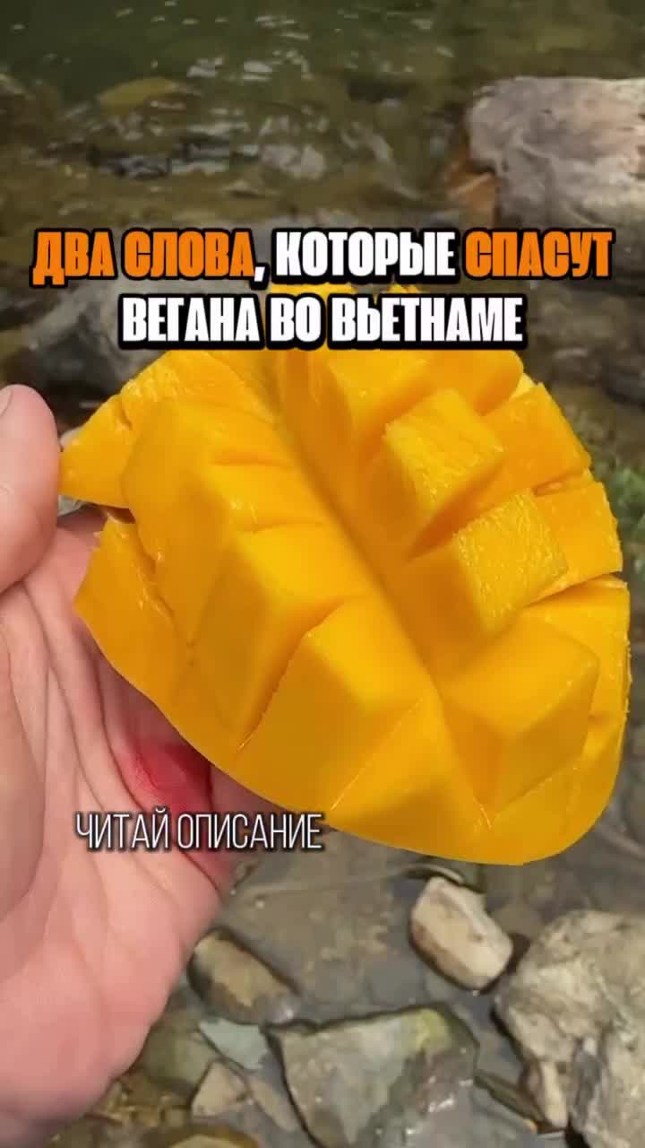 Вьетнам рушит стереотипы: благодаря буддизму у вегетарианства здесь есть база, это не просто модн...