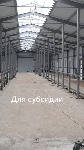 Световой конек коровника