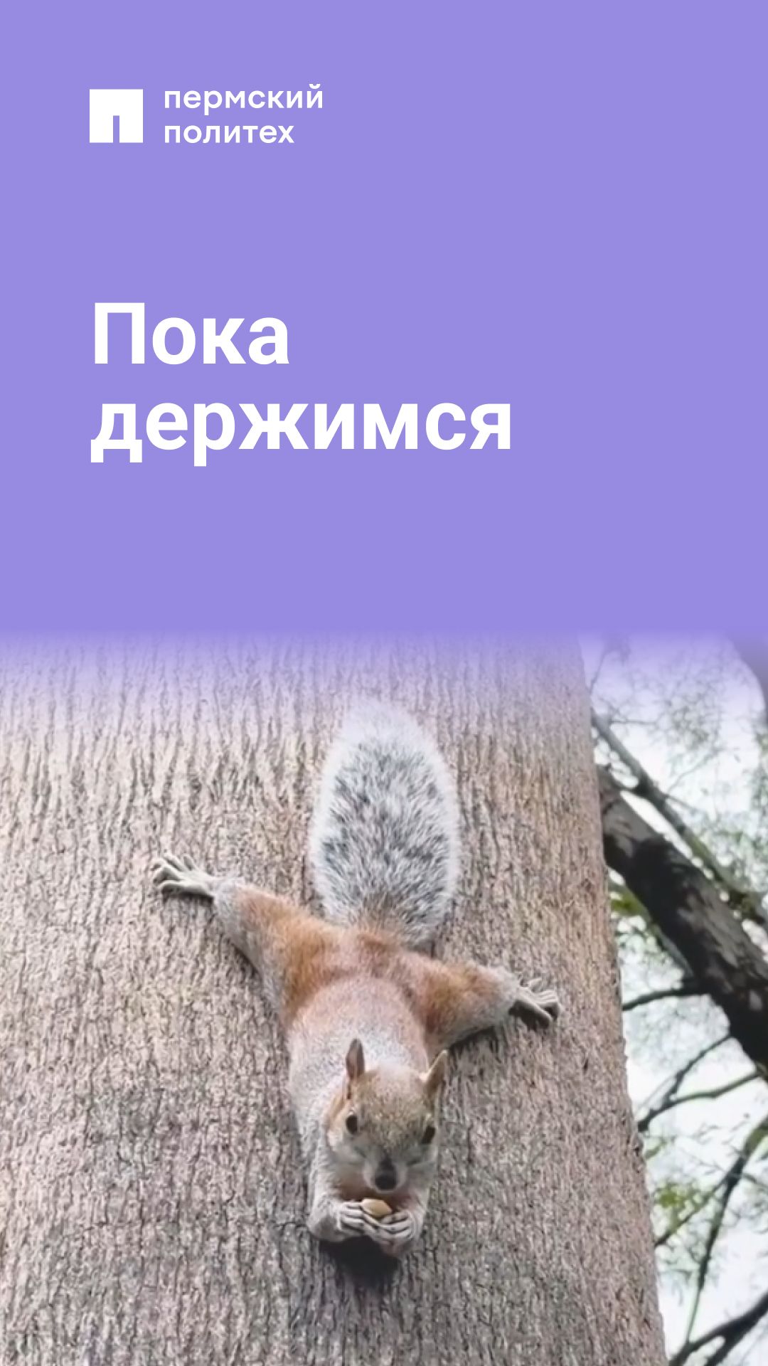 Держимся всеми лапками