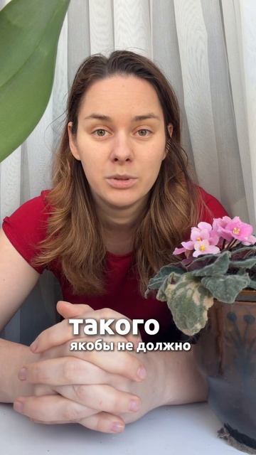 У собственников отнимают землю спустя 30 лет. Вот почему я больше не хочу покупать недвижимость