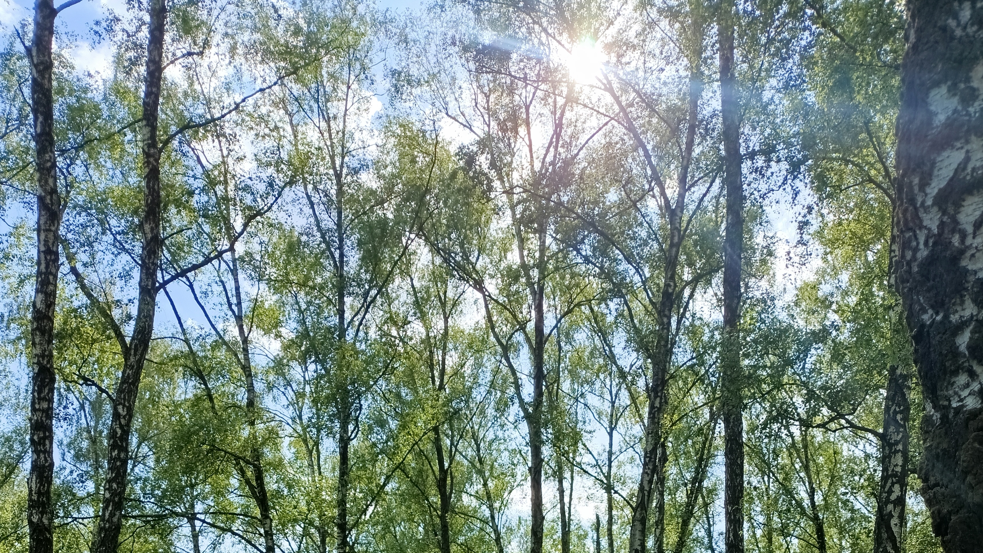 В ОЖИДАНИИ ЖАРКОГО ЛЕТА. #музыка #гитара #гитарист #музыкант #рутуб #продвижение.