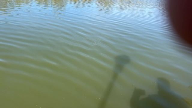 Онлайн с водоема