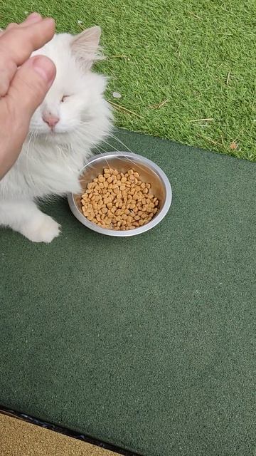 Добрые дела, прежде нужны нам😇