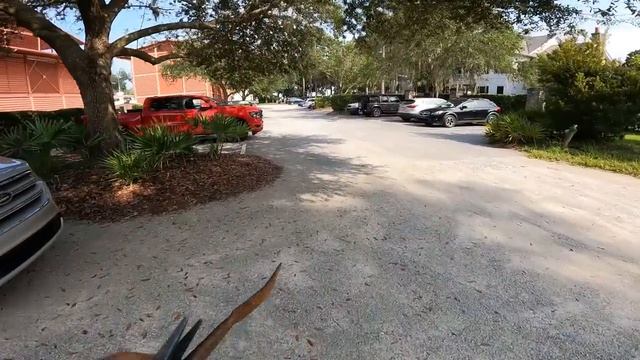 FISHING W_ GIANT LIVEBAIT FOR MONSTER FISH