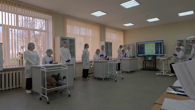 Мастер года-2026.  Мастер-класс.  Воронова Александра Владимировна