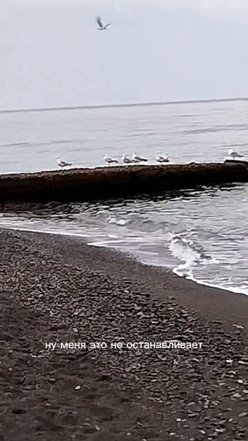 9-й день рассвета