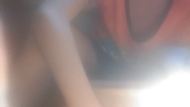 тирариум для прытких ящериц нашли самца, самца, самца, и самку