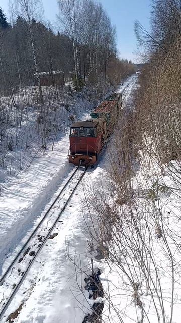Кирово-Чепецк, музейная узкоколейка