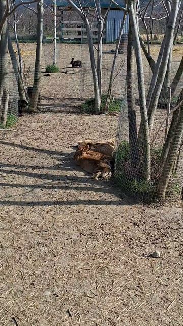 Озеро любви в Крыму | Бахчисарайский район Крыма