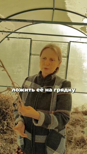 Куда девать ботву