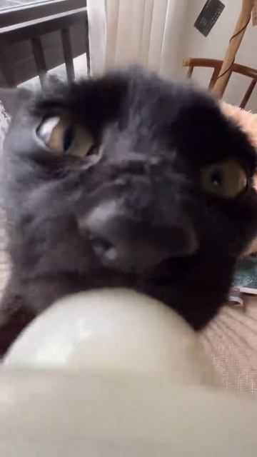 Кино и Сериалы