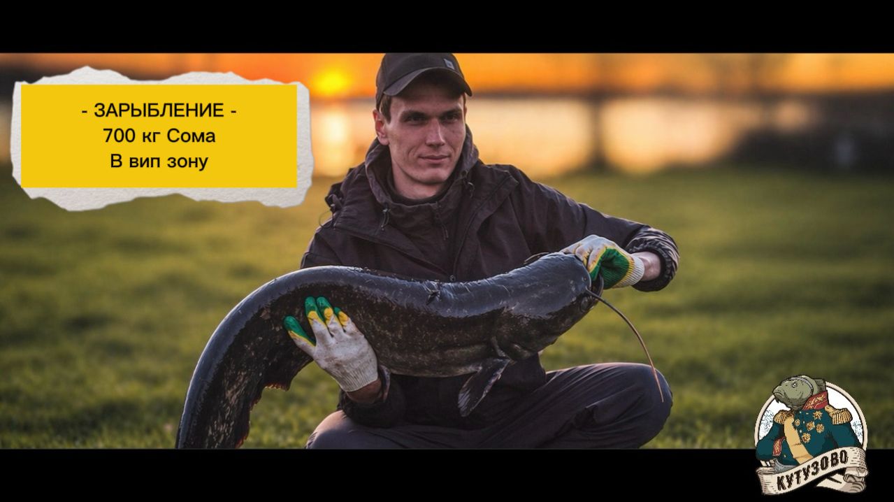 Зарыбление 700 кг сома в Вип зону