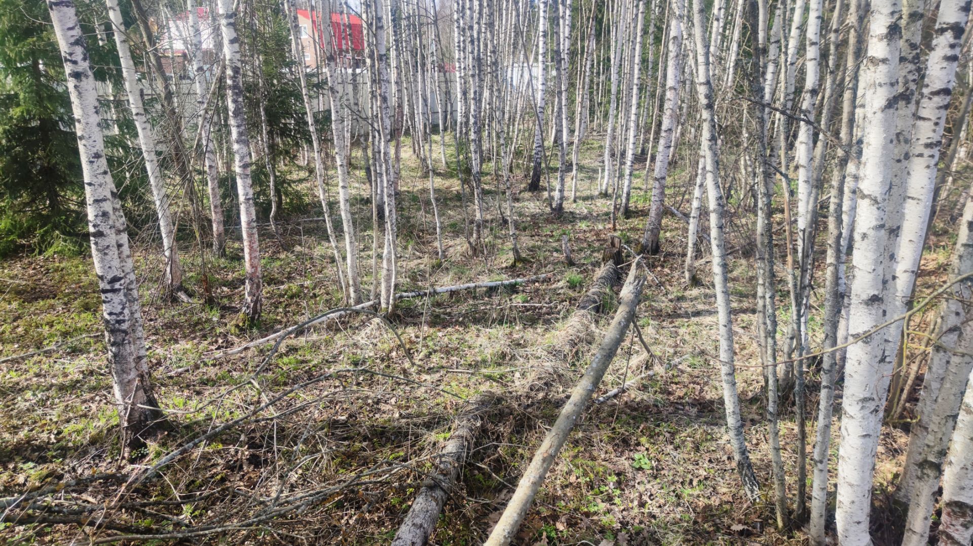 Видео с участка