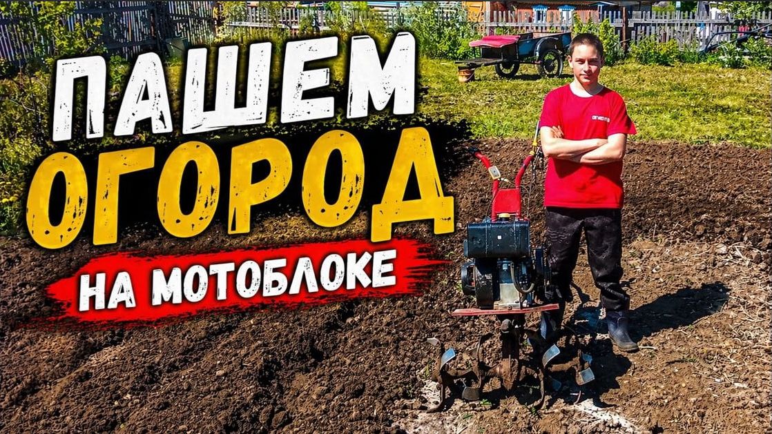 ПАШЕМ МОТОБЛОКОМ ЛУЧ