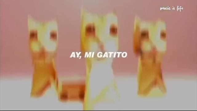 фонк а мигатито мяу мяу