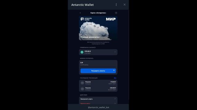 Anterctic wallet выпустили карту МИР. Такая же как и у Altyn wallet !