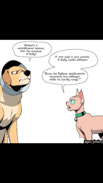 Конус) Пикси и Брут